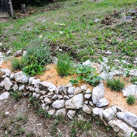 Gorska Hiska Vogar Nad Bohinjskim Jezerom Екстер'єр фото