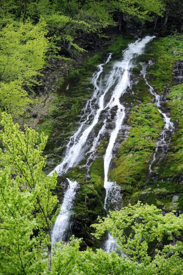 Gorska Hiska Vogar Nad Bohinjskim Jezerom Екстер'єр фото